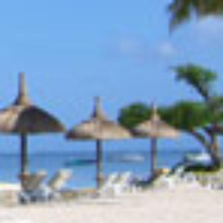 The Bistro Restaurant